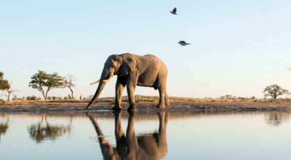 Imagem: Captura de Tela 2025-02-20 às 17.42.42