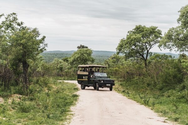 Imagem: 479d17c4-e690-4ab9-b11a-c1133e39e490