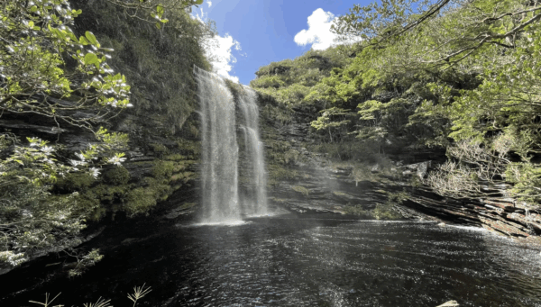 Imagem: Captura de Tela 2025-08-24 às 14.27.48