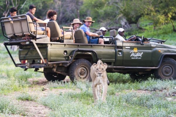 Imagem: carnavalnaafrica