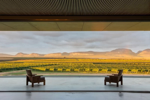 Imagem: vinicola uvva