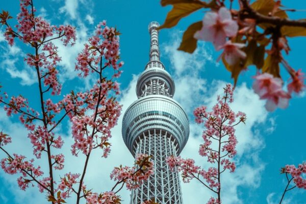 Imagem destaque: Coreia & Japão | Saída 17/03/2026